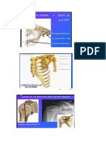 Clase de Anatomia 2 - 3er Parcial