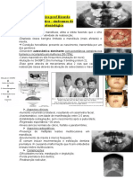 Aula de Genética Prof Ricardo 15-09-03. Genética - Síndromes de Interesse Odontológico