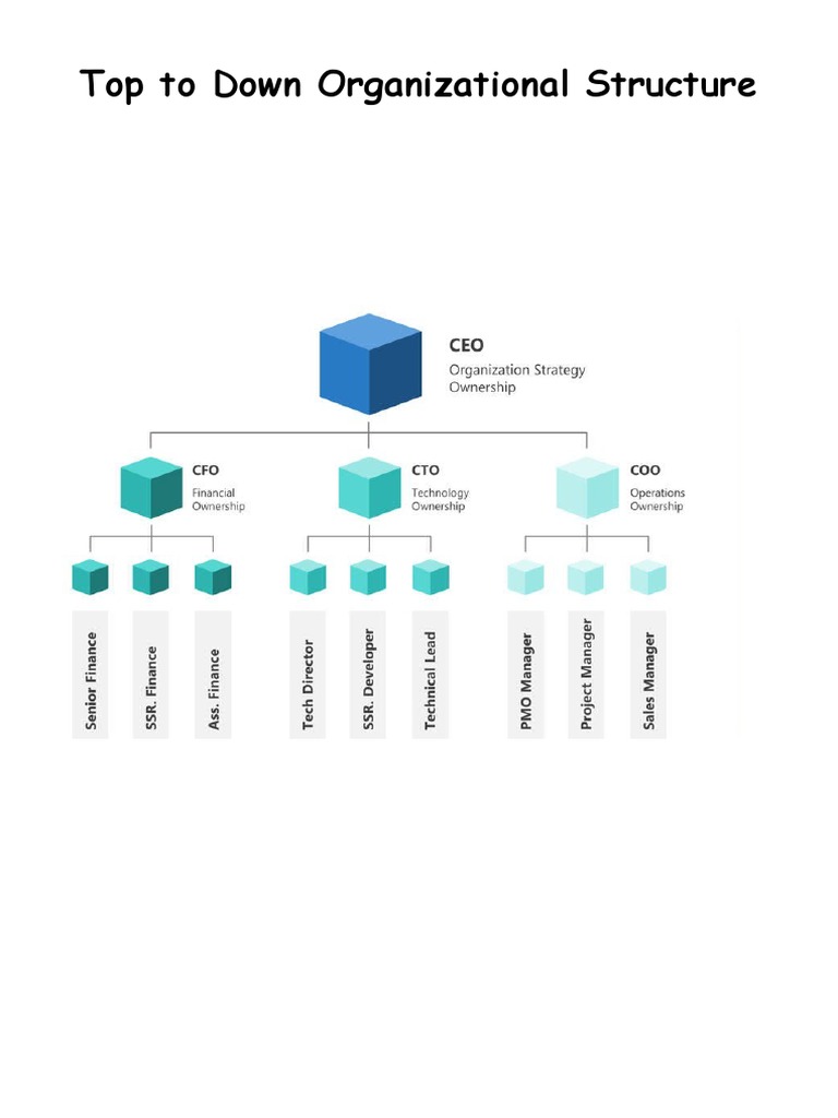 Organizational Structure | PDF