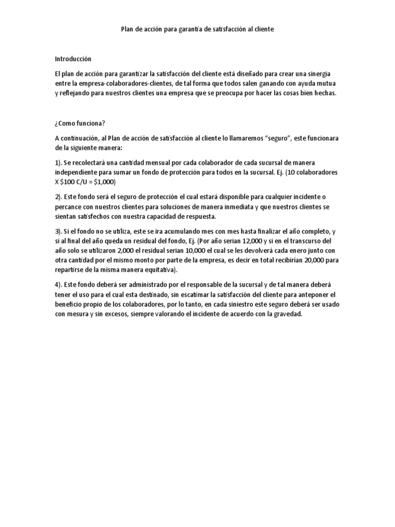 Plan de Acción para Garantía de Satisfacción Al Cliente | PDF ...