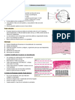 Exámenes Preoperatorios I