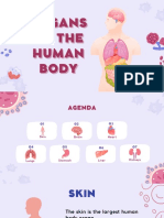 Organs of The Human Body