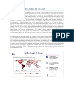 Chagas, Dengue y Leptospirosis