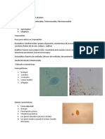 Taxonomía Merged