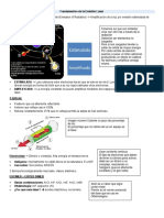 Fundamentos de La Emisión Laser