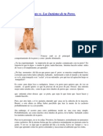 Adiestramiento de Perros