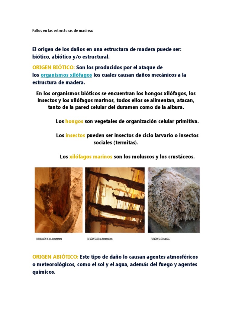 Fallos en Las Estructuras de Madrea | PDF | Madera | Insectos