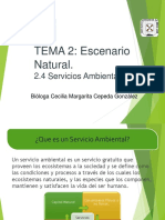 2 Escenario Natural 2.4 Servicios Ambienta