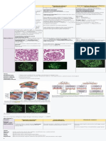 catatan renal pathology anatomy indo