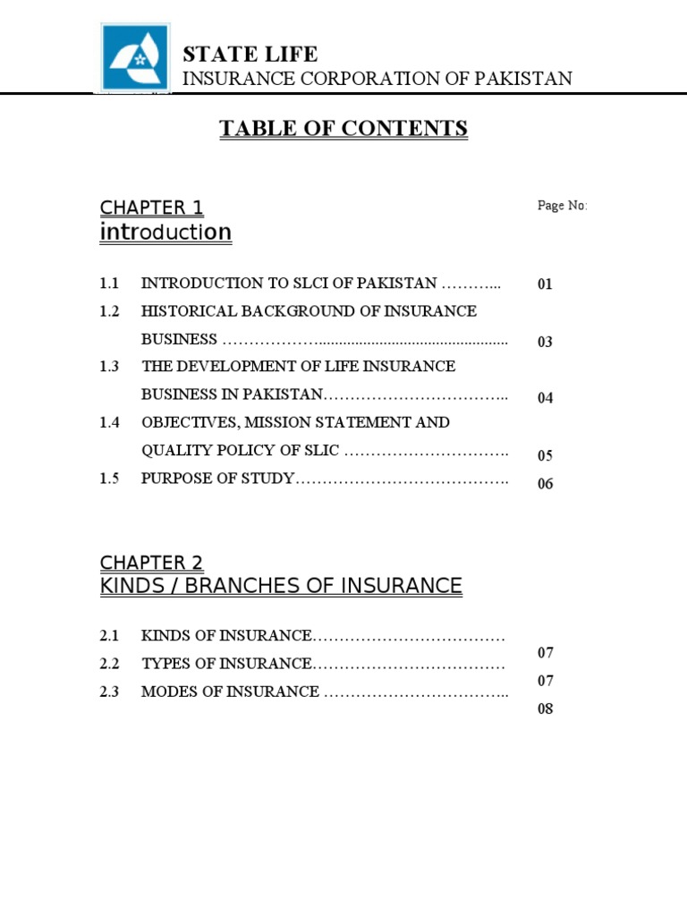 Overview of State Life Insurance Pakistan | PDF | Life Insurance ...