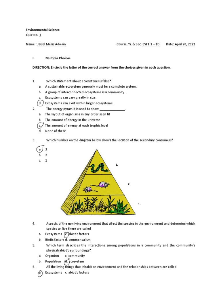 Ecosystem Dynamics and Energy Flow Quiz | PDF | Food Web | Ecosystem