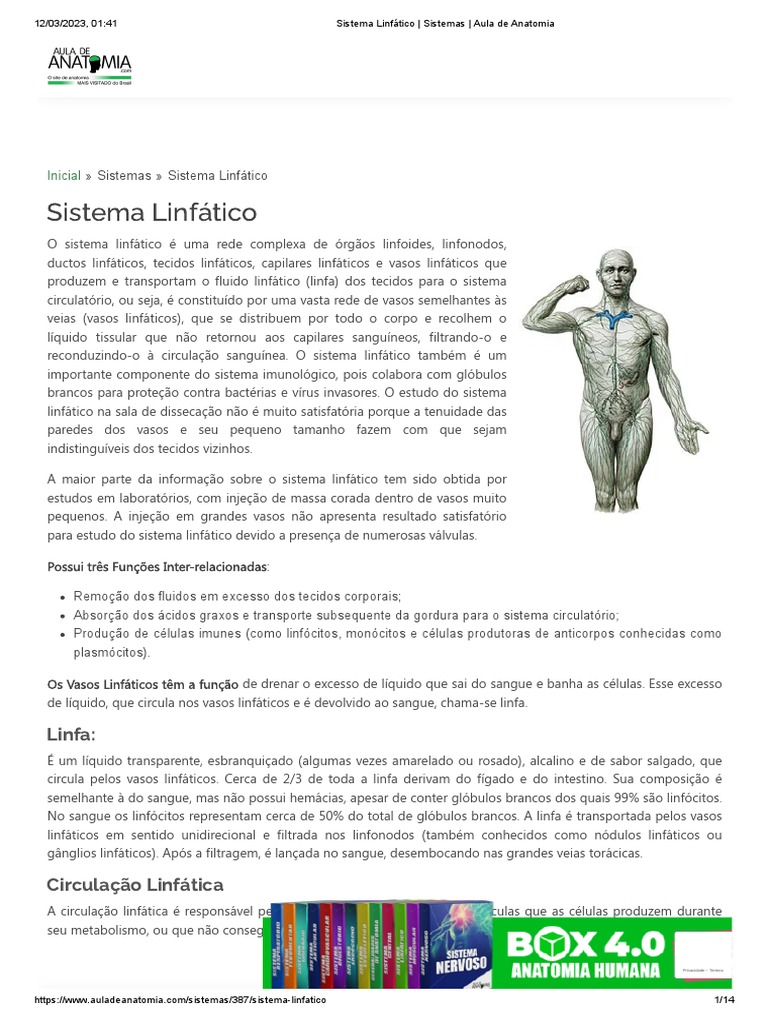Sistema Linfático Sistemas Aula De Anatomia Pdf Sistema