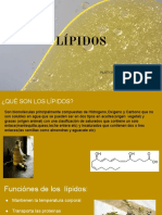 Lipidos 1