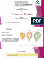 Trichomona Hominis