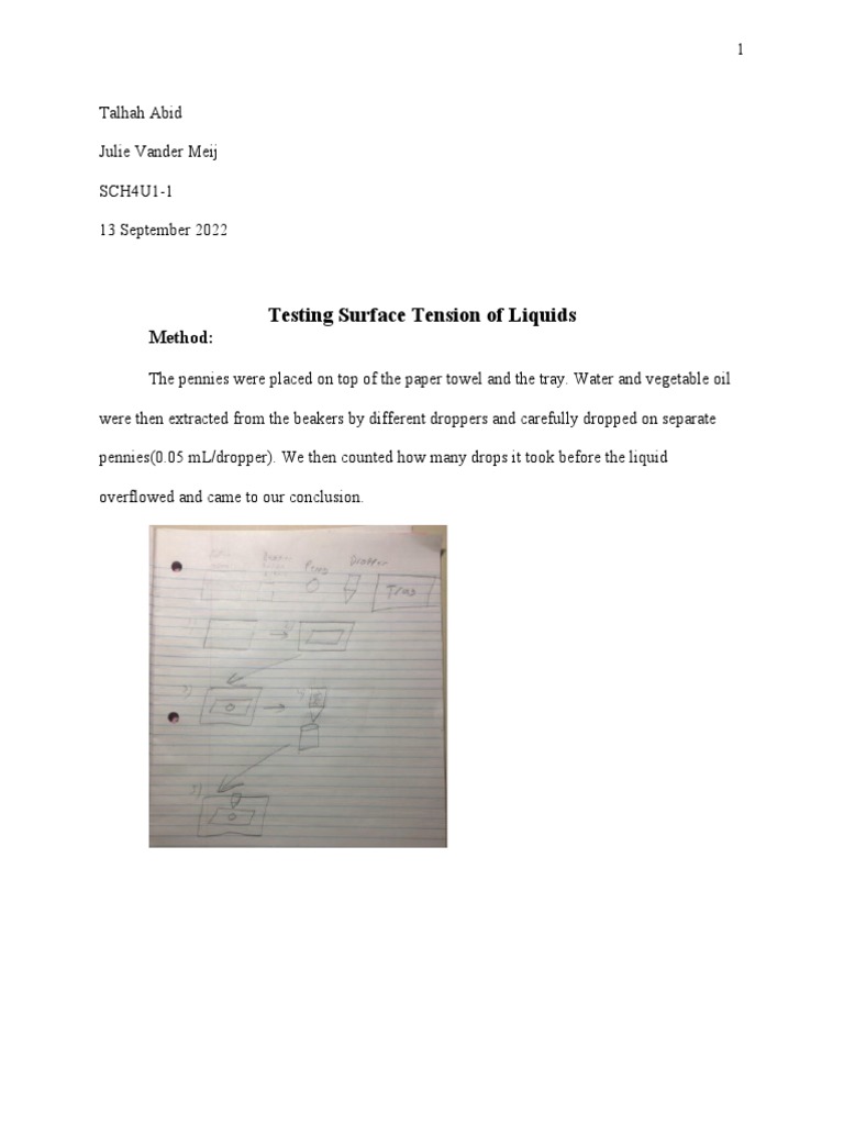 Surface Tension Lab Report GR 12 PDF Chemical Polarity Liquids
