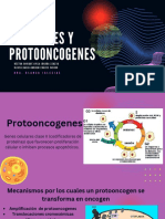 Oncogenes y Protooncogenes