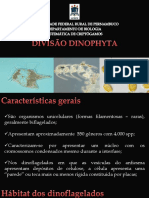 Diviso Dinophyta 2022