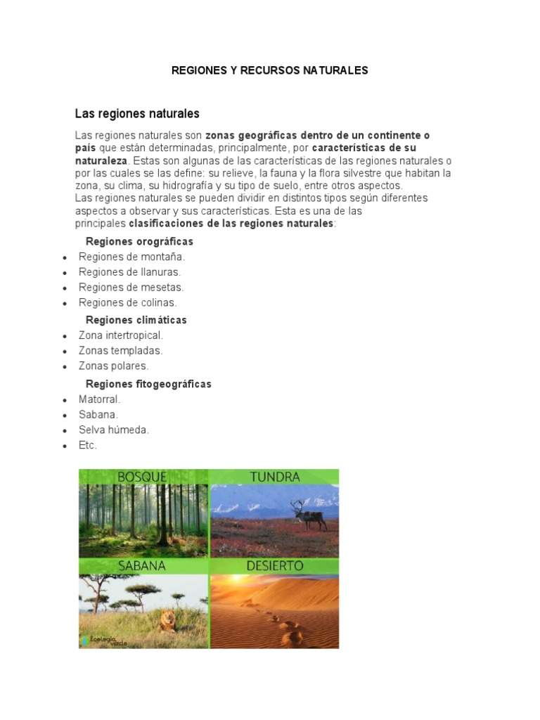 Regiones y Recursos Naturales | PDF | Selva | Clima