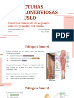 Estructuras Vasculonerviosas