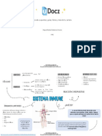 Sistema Inmune