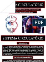 07 - Sistema Circulatório