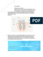 Endodoncia Primer Parcial