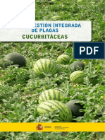 Cucurbitaceas Web Metadatos Protegida Tcm30-656830