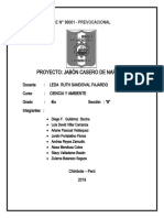 Informe Jabon Casero