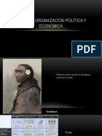 Organización Política