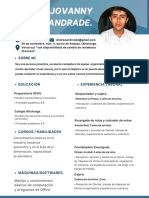 AndreeJFlores CV