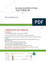 Curs 1 Morfologia Bacteriana