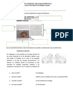 Examen Primero