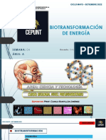 Glucolisis Biotransf de Energia 2