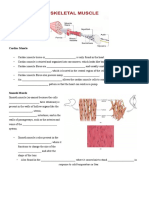 MUSCLE TISSUE TYPES v2