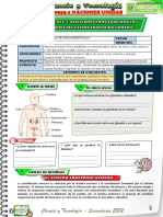 Ficha de Actividades de 4to 24 de Julio