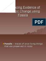 4.1 Tracing Evidence of Geologic Change Using Fossils