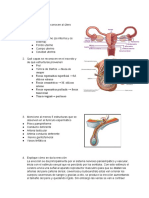 Quices Tercer Corte Anatomia-Leon