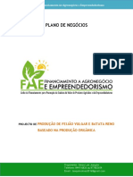 Modelo Do Plano de Negócios - FAE-16092017