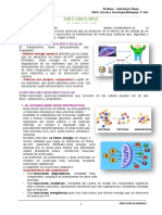 4° Año-Metabolismo MNU