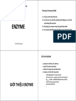 GT HHHSTP BK 2020 c3 Enzyme