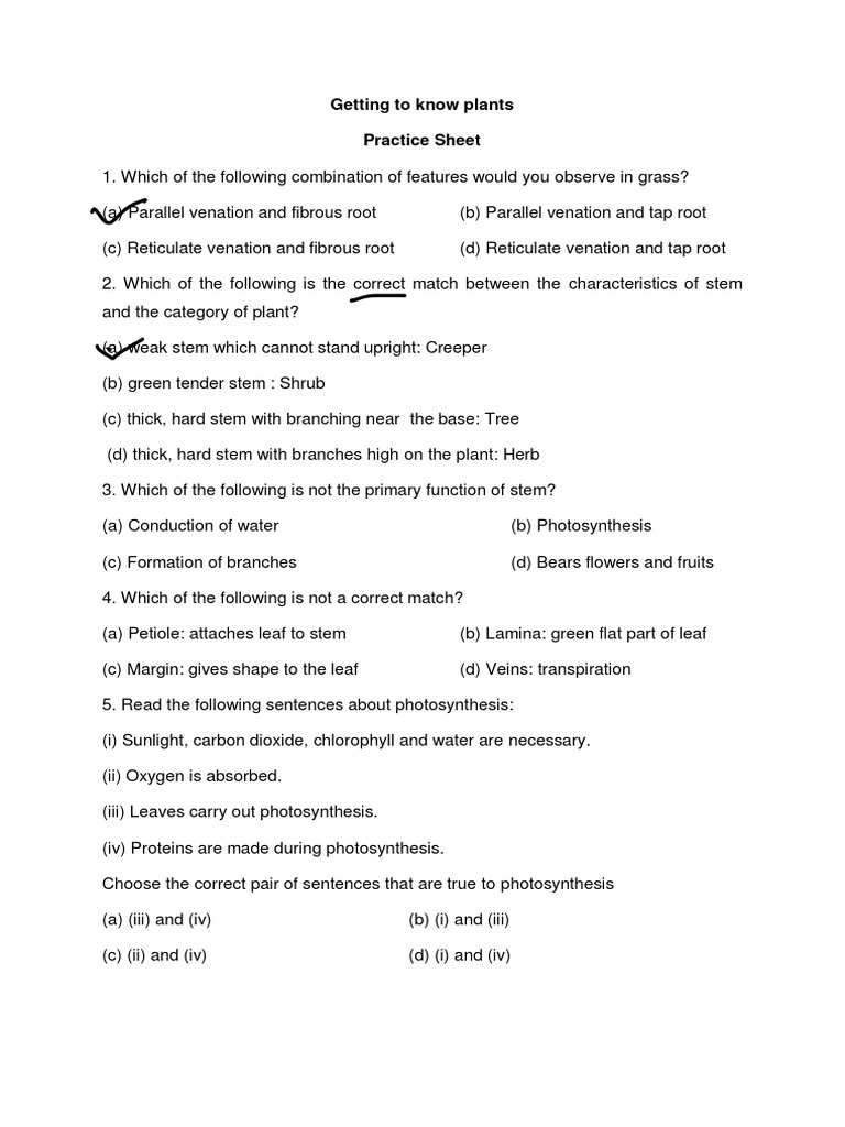 Understanding Plant Structure and Functions | PDF | Flowers | Leaf
