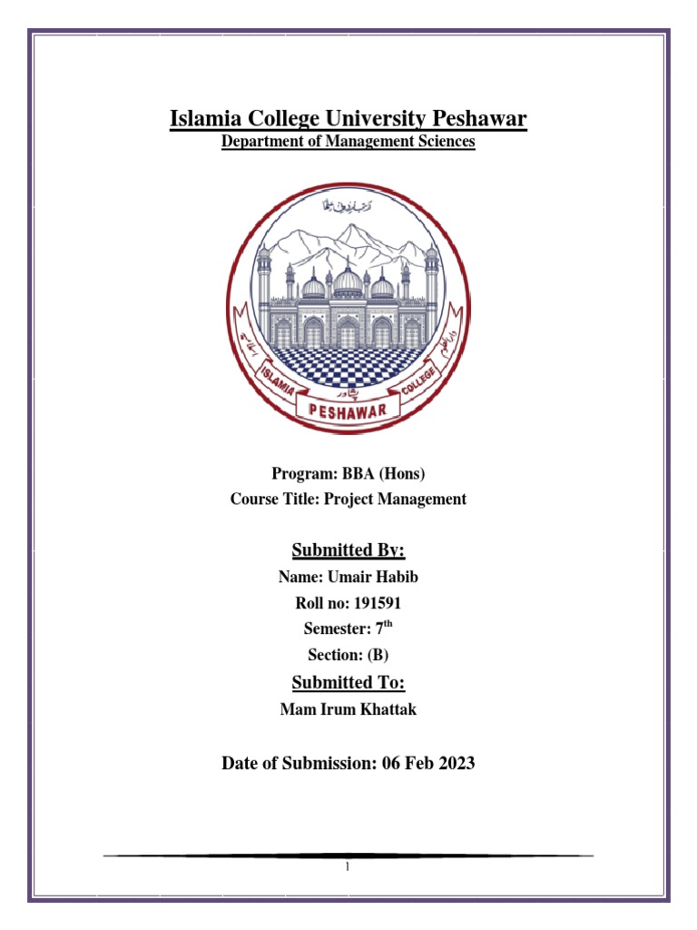 Umair Project Proposal Template Pdf Information