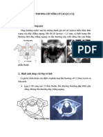 CHẤN THƯƠNG CỘT SỐNG CỔ CAO