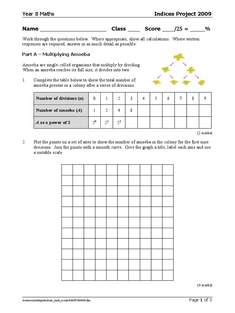 Indices Project | PDF | Cartesian Coordinate System | Mathematics