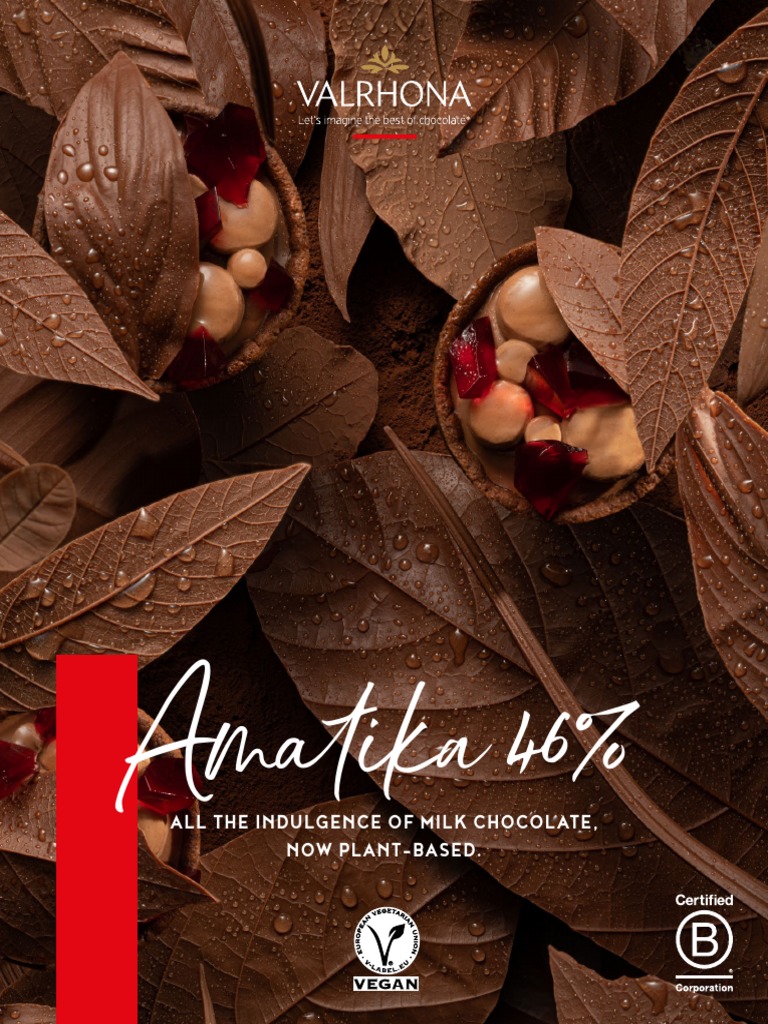 AMATIKA 46% Brochure | PDF | Chocolate | Cakes
