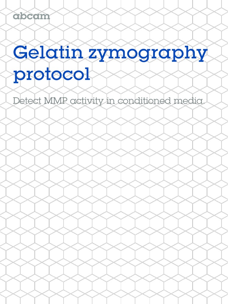 Gelatin Zymography Protocol MMP 9 | PDF | Chemistry | Biochemistry
