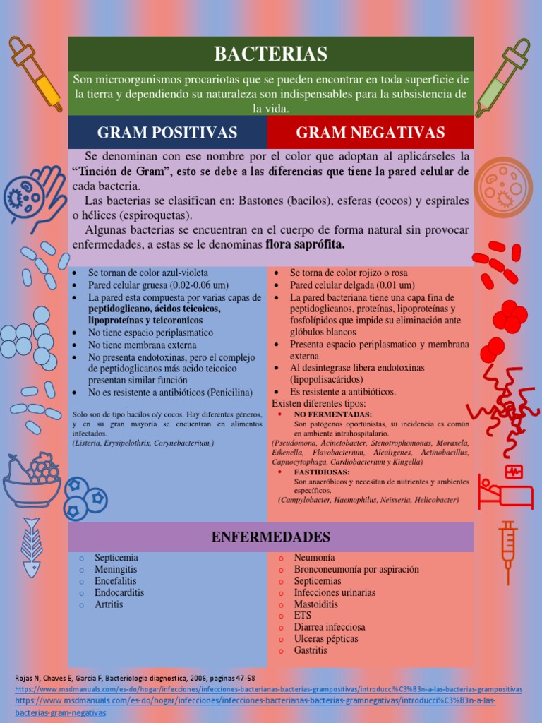 Esquema de Bacterias Gram Positivas y Negativas | PDF | Bacterias Gram ...