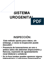 Urogenital