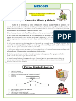 La-Meiosis ACTIVIDAD DE REPASO.