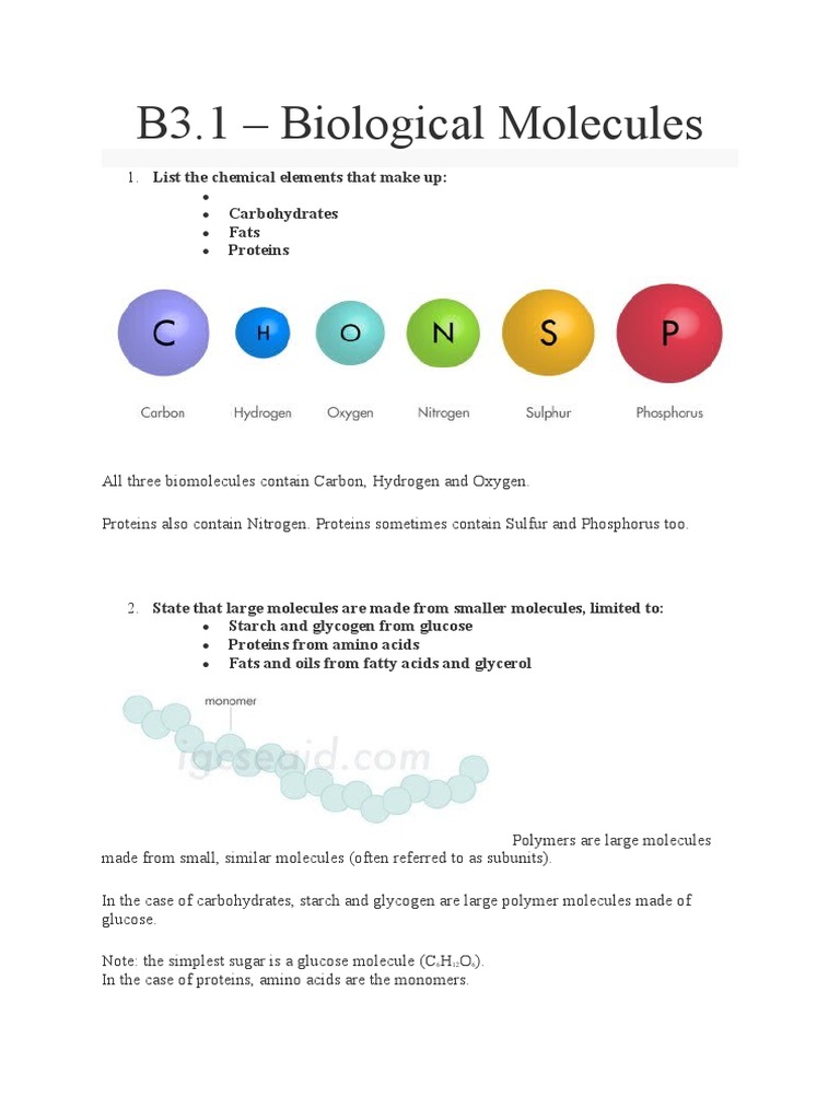 B3 Biological Molecules | PDF | Biomolecules | Glucose